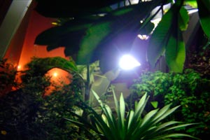 Imagen ilustrativa del artículo Cómo iluminar el jardín