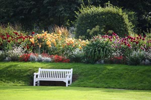 Imagen ilustrativa del artículo Herramientas necesarias para mantener el jardín