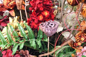 Imagen ilustrativa del artículo Cómo secar flores y ramas para decoración