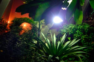 Imagen ilustrativa del artículo Cómo iluminar el jardín