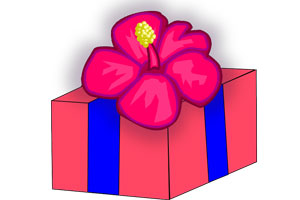 Imagen ilustrativa del artículo Cómo hacer una caja perfumada para el armario