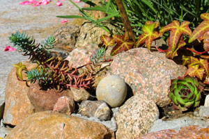 Imagen ilustrativa del artículo Uso de las piedras en un jardín japonés
