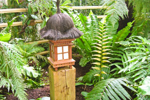 Imagen ilustrativa del artículo Uso de las plantas en un Jardín de Estilo Japonés