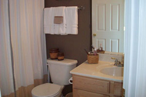 Imagen ilustrativa del artículo Cómo renovar la cortina del baño