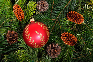 Imagen ilustrativa del artículo El significado de los colores en la decoración navideña