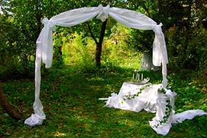 Imagen ilustrativa del artículo Adornos de tul para decorar una boda