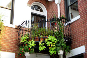 Imagen ilustrativa del artículo Cómo decorar balcones con macetas colgantes