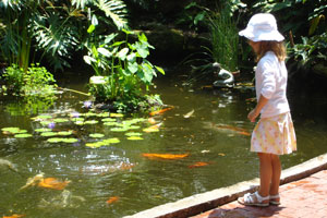 Imagen ilustrativa del artículo Cómo hacer un estanque para peces en el jardín