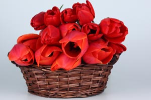 Imagen ilustrativa del artículo Arreglos florales Ikebana