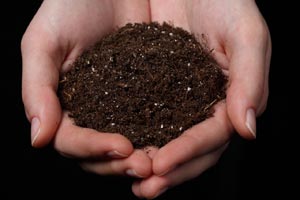 Cómo fabricar compost para nuestras plantas